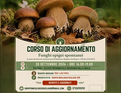 corso aggiornamento 09 2026